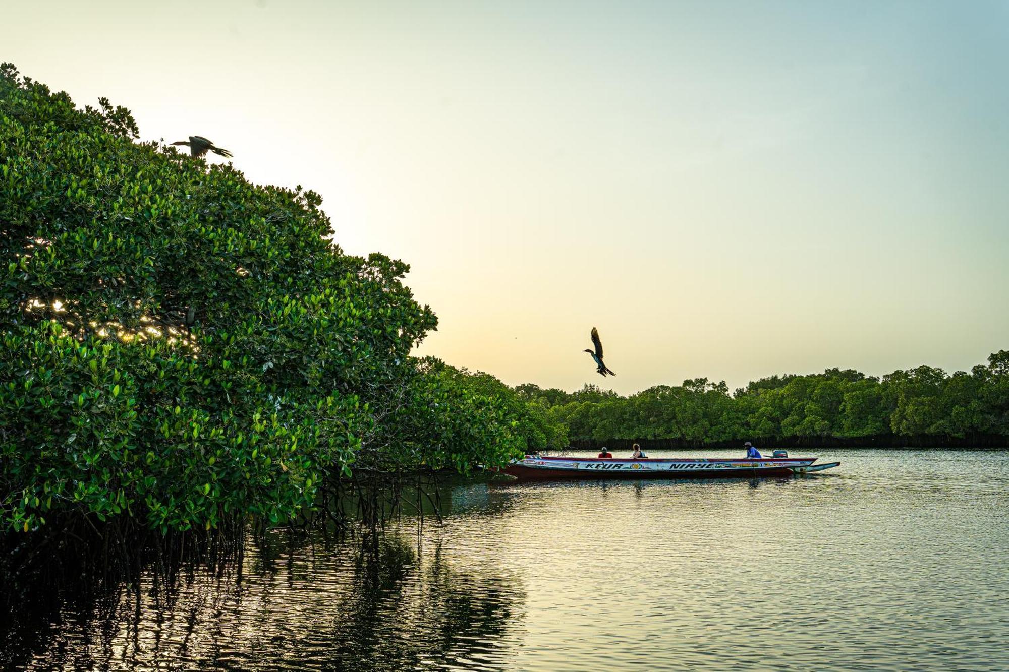 Keur Saloum Hotel Toubakouta Exterior photo